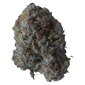 B!tch Slap 3.5g Dried Flower