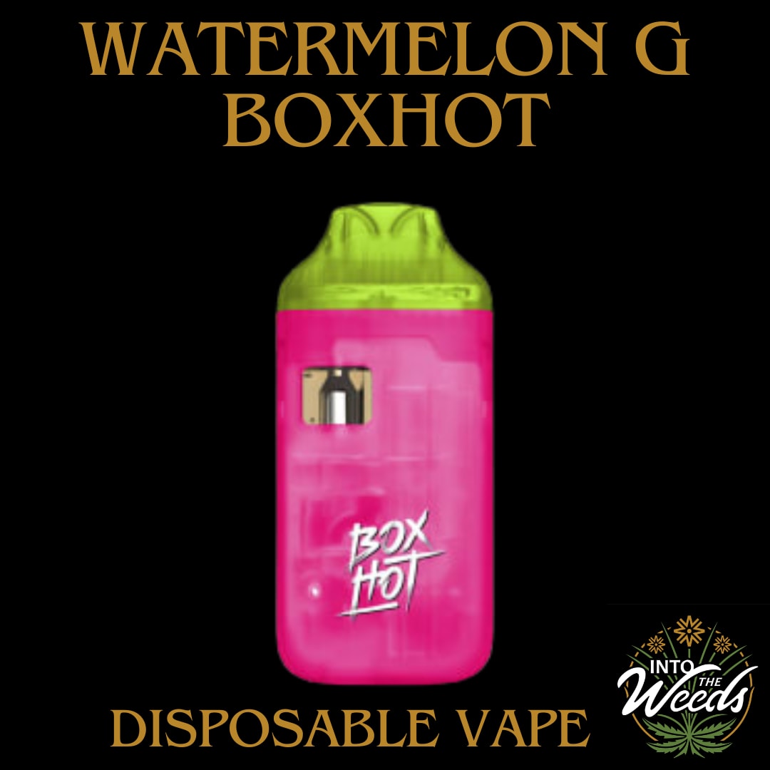 boxhot disposable vape Vuse Go 1000 Box Double Apple Disposable Vape