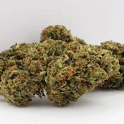 Day Dreamin' Infused CBD (7g) - Grown Here