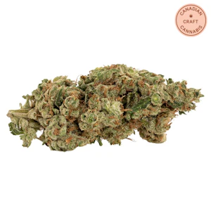 Catch Me Outside - Rooster Call 14g