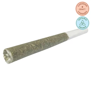 1Spliff - Cannon Pre-Roll 1x1g