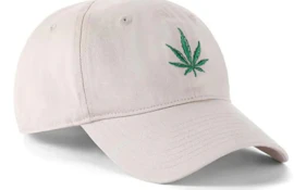 Embroidered Leaf Beige Cap