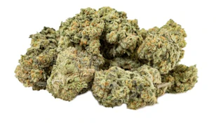 Organic Crunch Berries Petites - 14g