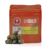 OPTIMUS CRIME SMALLS - 3.5
