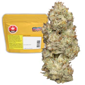 Wagyu Delight (Fillet Mignon x Snaggle Tooth) 7g Flower