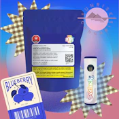 BLUEBERRY VANILLA DISPO - POTLUCK - 0.2G