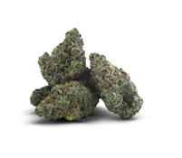 BC 1/4 OZ | Gravity | 7 g