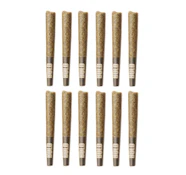 BOLD | ORANGE CRUSH PRE-ROLLS (12 x 0.5G)
