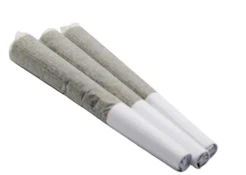 CHERRY PUNCH PRE-ROLLS - 3 x 0.5g