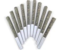 HONEYCRISP HEADBAND - 10 x 0.5g