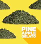 Pineapple Gelato (7g Milled) - Spinach Grindz