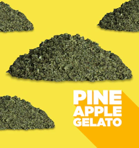 Spinach - Pineapple Gelato (7g Milled) - Spinach Grindz