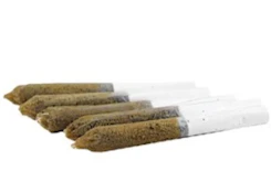 WATERMELON WATERFALL INFUSED | 5 x .5g