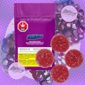 WILD BERRY BLAZE GUMMIES - SHRED'EMS