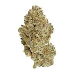 Choklit Park Top Shelf - GOLDEN PINEAPPLE WHOLE FLOWER - 7