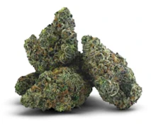 BC 1/4 | GRAVITY - 7g