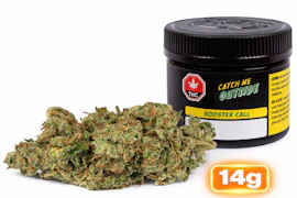 Rooster Call(SPK)  14g Flower