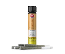 DEALR - French Beignet 5x0.5g (B13)