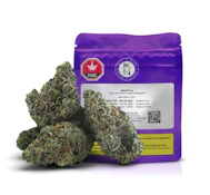 BC 1/4 - Gravity 7g (B4)