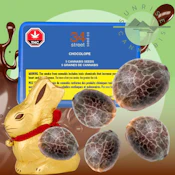 CHOCOLOPE SEEDS - 34 STREET - 5 PACK