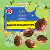 APPLE COBBLER SEEDS - 34 STREET - 5 PACK