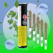 KUSH MINTS - 1964 - 5X0.5G