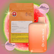 WATERMELON WATERFALL DISPO - CASTLE ROCK - 1G