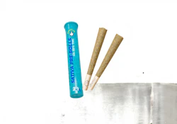 Thumbs Up - Sativa (Chatter Box) Pre-roll 2x1g
