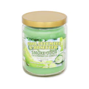 13 Oz Cool Cucumber & Honeydew Candle (Smoke Odor)