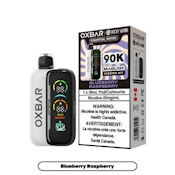 Oxbar Maglink Starter Kit - Blueberry Raspberry
