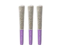 Blackberry Breath by Pistol & Paris - 3 x 0.5g