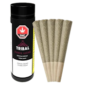 Tribal - PORTO LECHE PRE-ROLLS - 5 x 0.6g