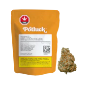 Potluck Mango Dream - 7g