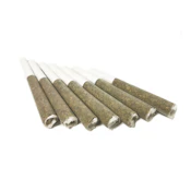 ORCHARD- MOBY DICK PRE-ROLLS - 7 X .5G PR'S - 3.5G