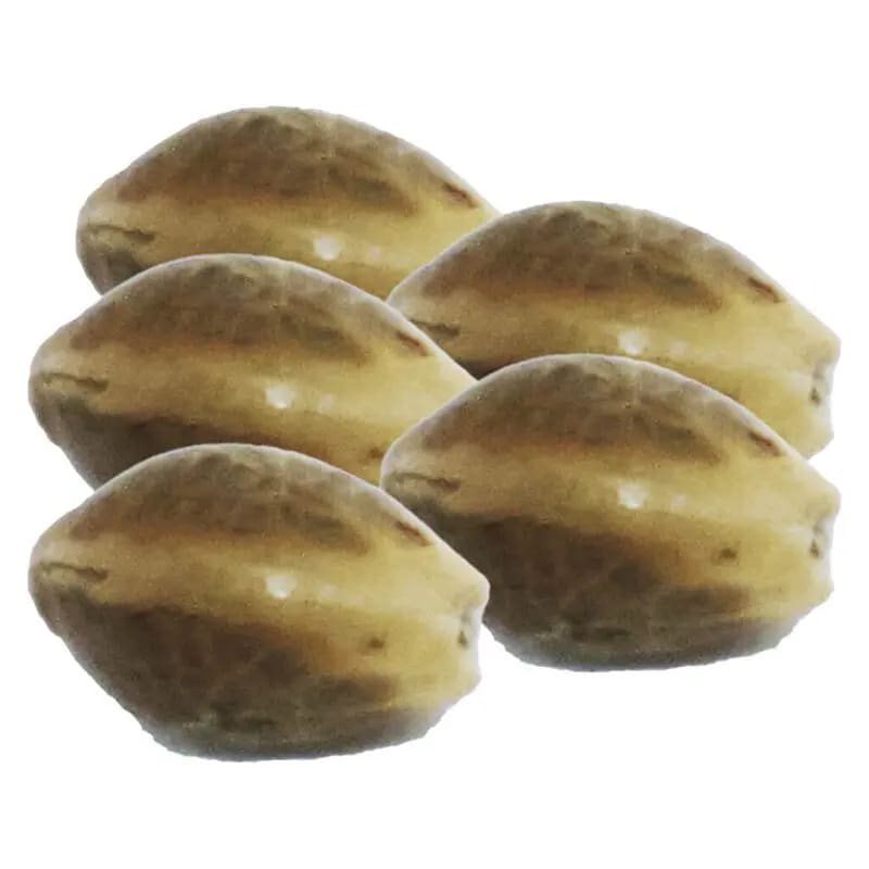 Electric Lemonade Seeds - 5 Pack Seeds