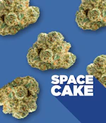 Space Cake 14g Dried Flower by Spinach