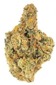 Florida Oranges 7g Dried Flower