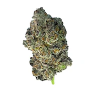 PINK ZKITTLEZ LTO - 7G