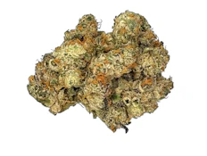 ROLL-X - 7g