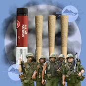 TROPIC THUNDER - ALL NATIONS - 3X0.5G