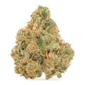 Bandwagon Sativa: Lemon Cello 28g