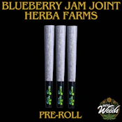 Blueberry Jam Joint - 3 x 0.5g