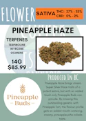 14G - PINEAPPLE BUDS - PINEAPPLE HAZE