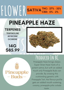 Pineapple Buds - 14G - PINEAPPLE BUDS - PINEAPPLE HAZE