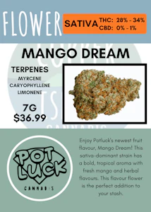 Potluck - 7G - POTLUCK - MANGO DREAM