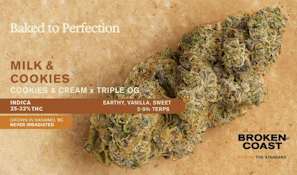 Milk & Cookies - 14g