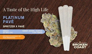 Platinum Pave - 5 x 0.5g