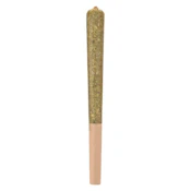 ROCKETEER INFUSED 1G SINGLE PRE-ROLL (ROTATING)