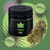 WAPPA - REDECAN - 1G