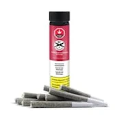 Honey Crisp Headband - 0.5g x 10